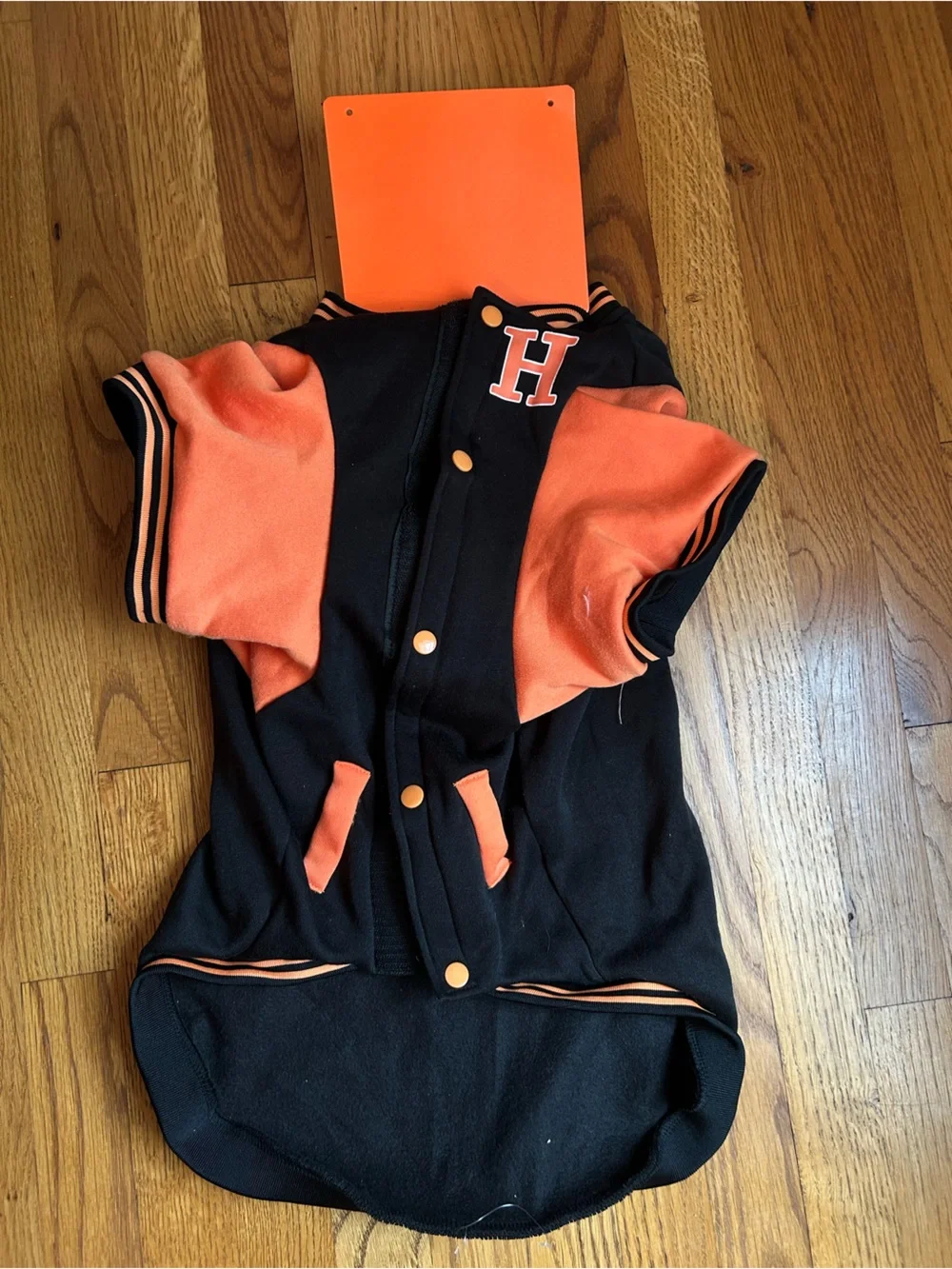 Halloween Hounds Black & Orange Dog Jersey - Number 31 xl